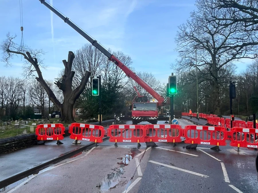 Parish Tree Surgery arborist team carrying out professional crown reduction work